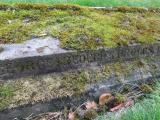 image of grave number 289003